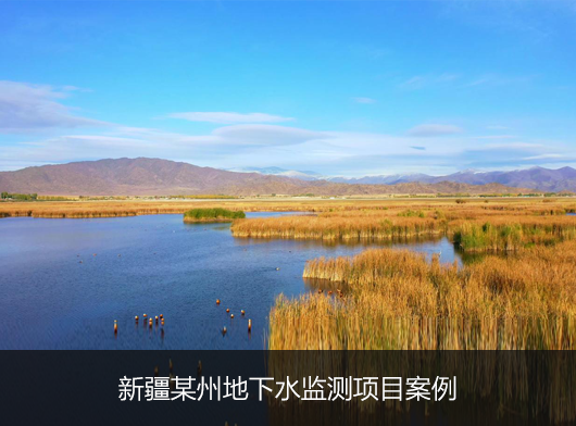新疆某州地下水位监测项目案例分享